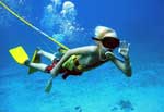Cozumel Snuba Diving Excursions