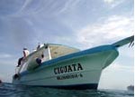 Cozumel Glass Bottom Boat snorkeling excursion