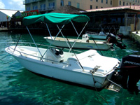 Bahamas catamaran excursions