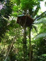 One of the zip line platforms, they are wayyyy up there