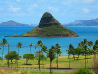 Oahu circle island tours