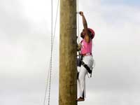 Zipline Tour in Jamaica