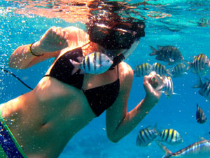 Power snorkel por Cozumel - Tourse - Excursiones