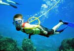 Cozumel snuba diving a great excursion for kids!