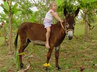 Child Riding Donkey at our Jamaica Retreat
