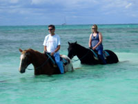 freeport horseback tours
