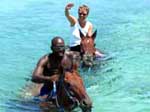 Ocho Rios Jamaica Horseback Riding Excursion and tours