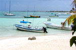 Explore Beach Cove on Private Snorkeling adventures