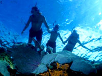Roatan Snorkeling Excursions