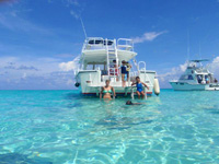 Grand Cayman Private Stingray City Trip