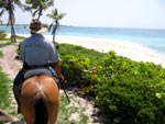 riding horses on the beach in Playa del carmen mexico