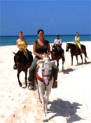 Horseback riding in Playa Del Carmen