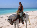 Cayman horseback riding on the beach
