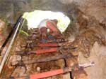 cenote ladder at jungle adventure