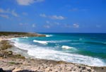 Coastal drive by Buggies in Cozumel