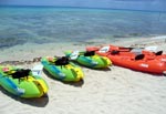Cozumel Kayaks