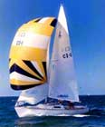 Grand Cayman Sringray City Private Sailing Charter