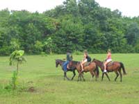 Horseback riding in Belize