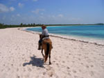 beach horseback rider