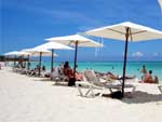 beach Shore Tours in Playa Del Carmen