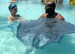 stingray city sandbar holding a stingray